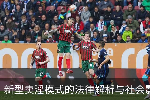 新型卖淫模式的法律解析与社会影响