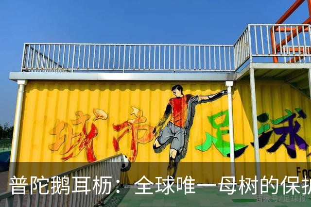 普陀鹅耳枥：全球唯一母树的保护与繁育研究